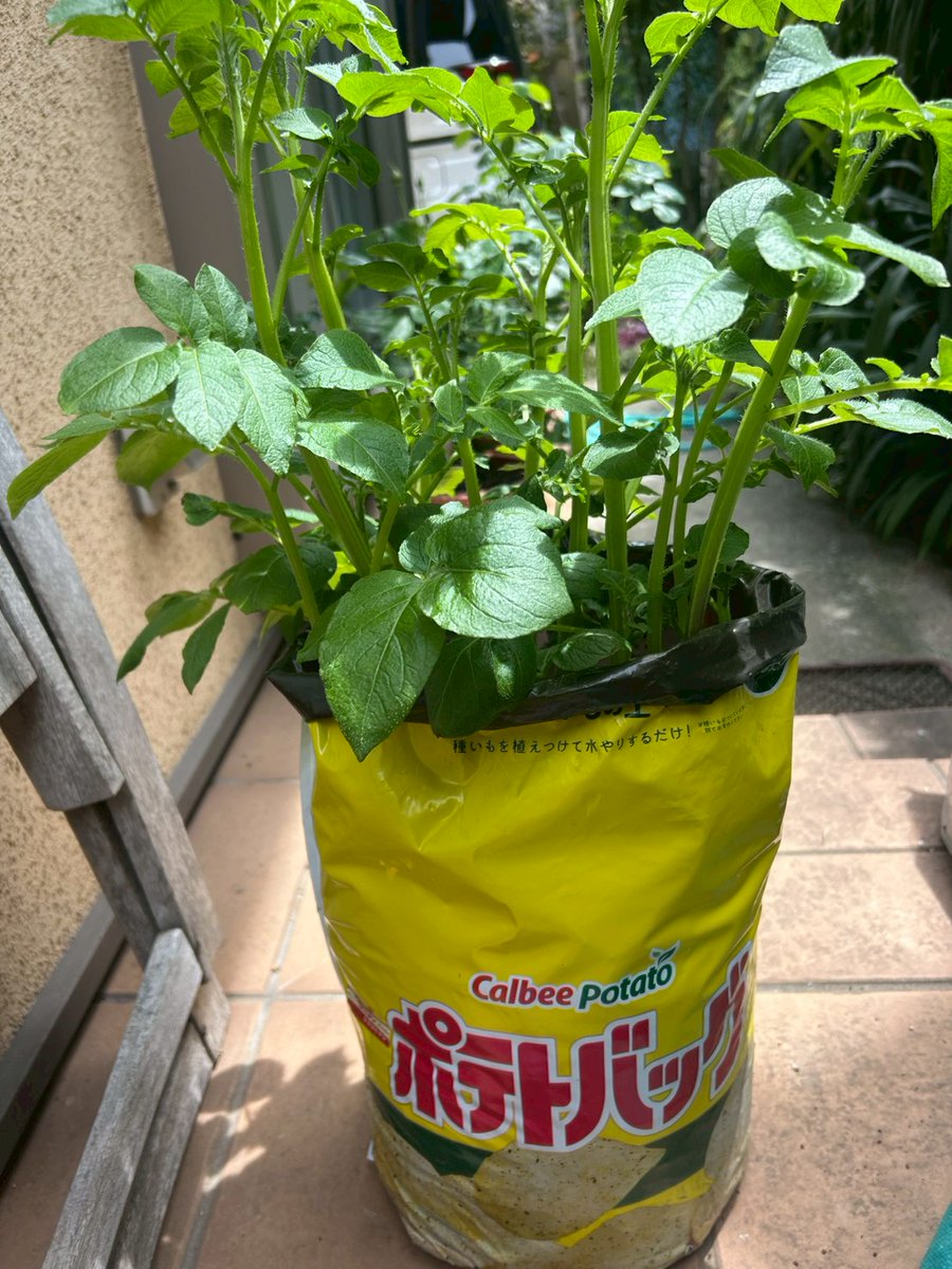 守屋貴子サポーターズ tweet media