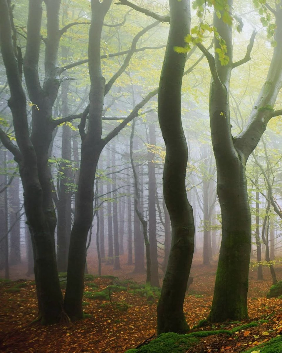 Allow your concerns to dissolve gently and merge into a serene calm.