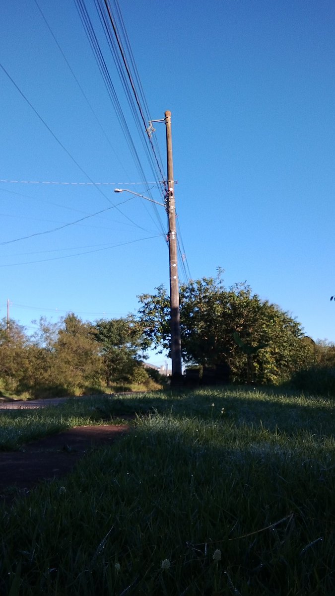 Tempo Sapucaia RS ©️ tweet media