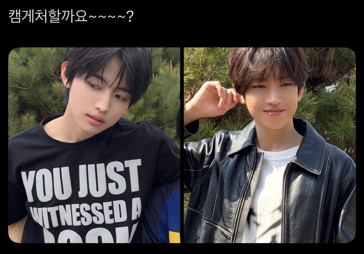 채도 tweet media