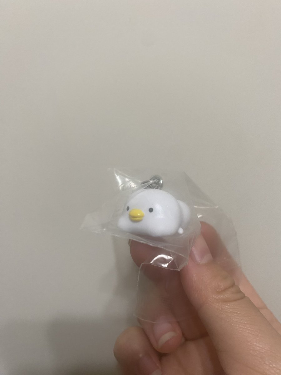 サクラ tweet media
