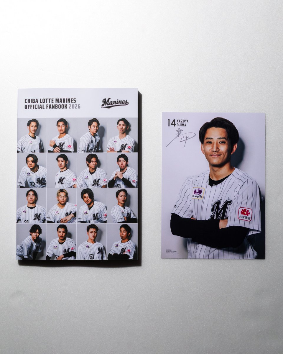 千葉ロッテマリーンズ　試合日程告知ポスター　1996年~2003年　10枚セット 千葉ロッテマリーンズ 試合日程告知ポスター 1996年~2003年 10枚セット