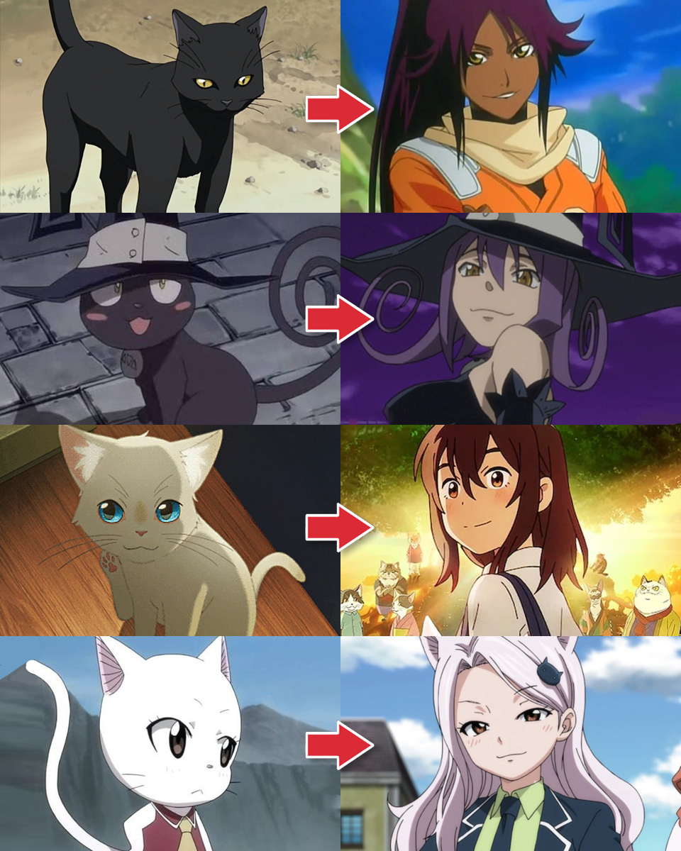 セフィラン@アニメ投稿の猫🐱 tweet media