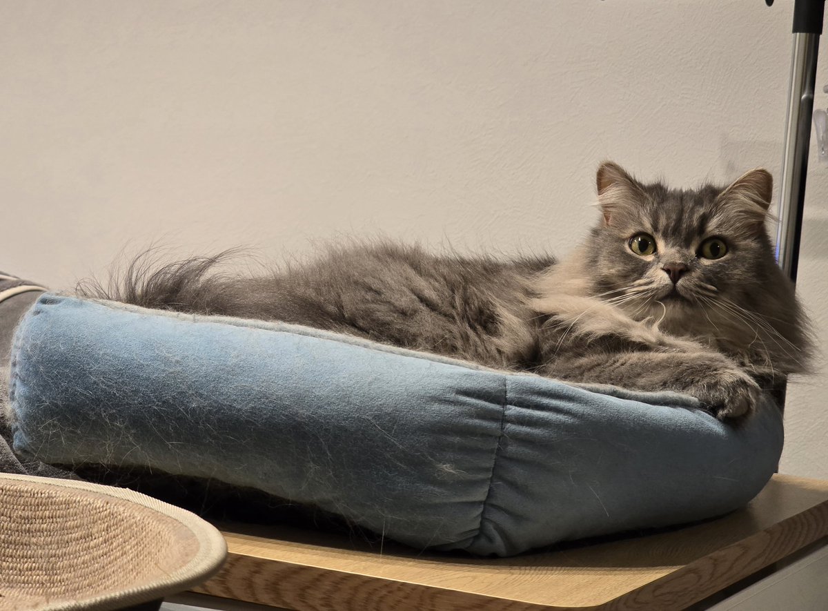 kyo_yon 💗용화🤙🌈 tweet media