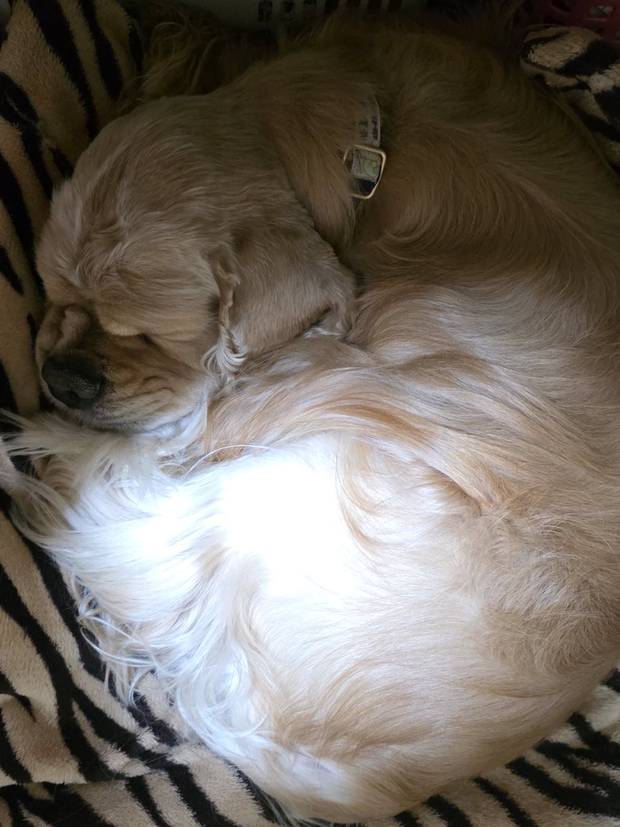 亜樹&絵里 tweet media