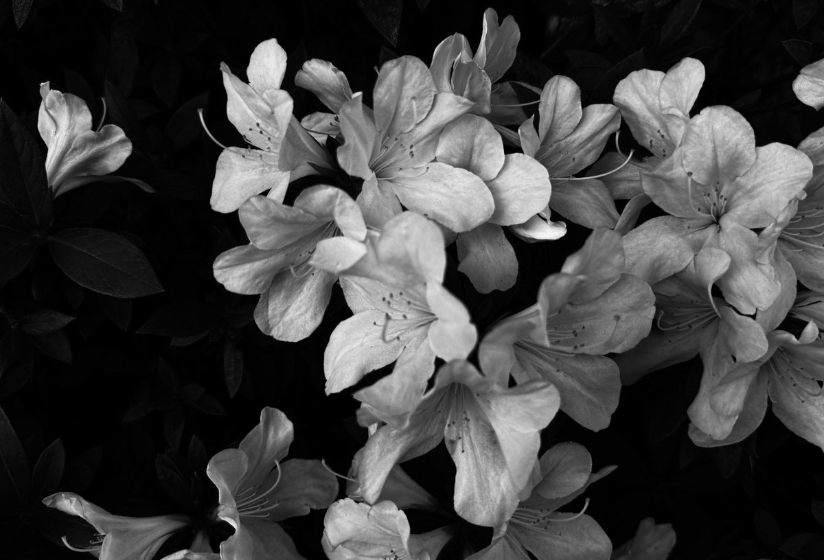 430427627y's tweet image. 0815 #blackandwhitephotography #Monochrome #streetphotography