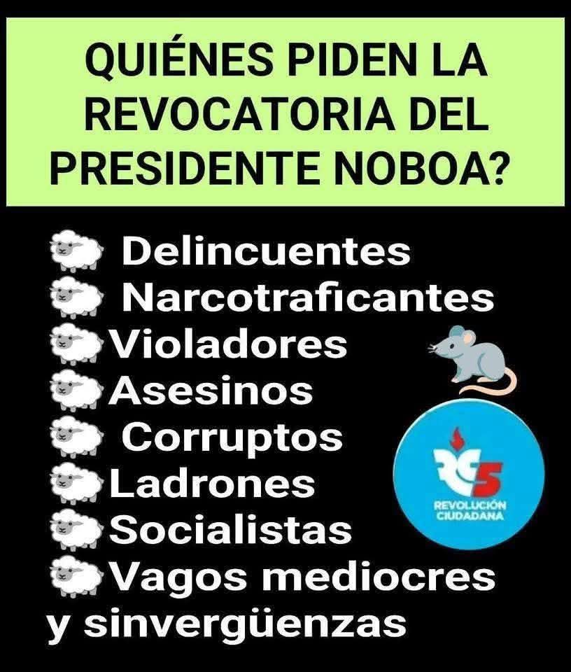 BellaAmapola77 tweet media