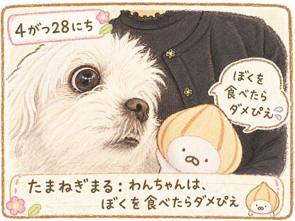 ko-ji@うさまらー初心者 tweet media