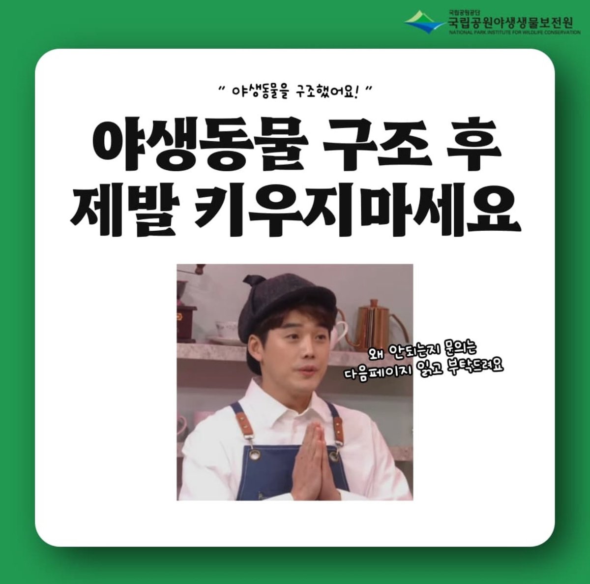 고방오리 オナガガモ 𓅰 tweet media