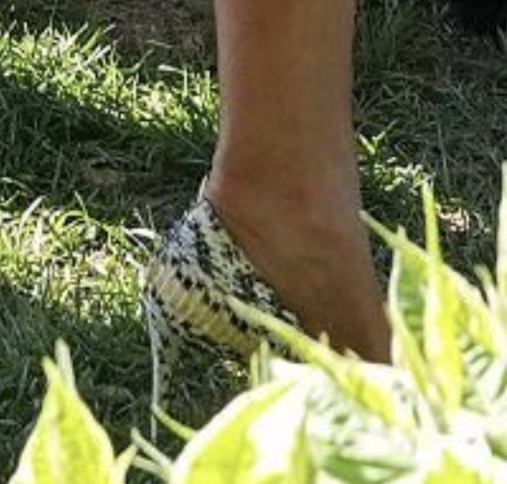 HchannelX tweet media