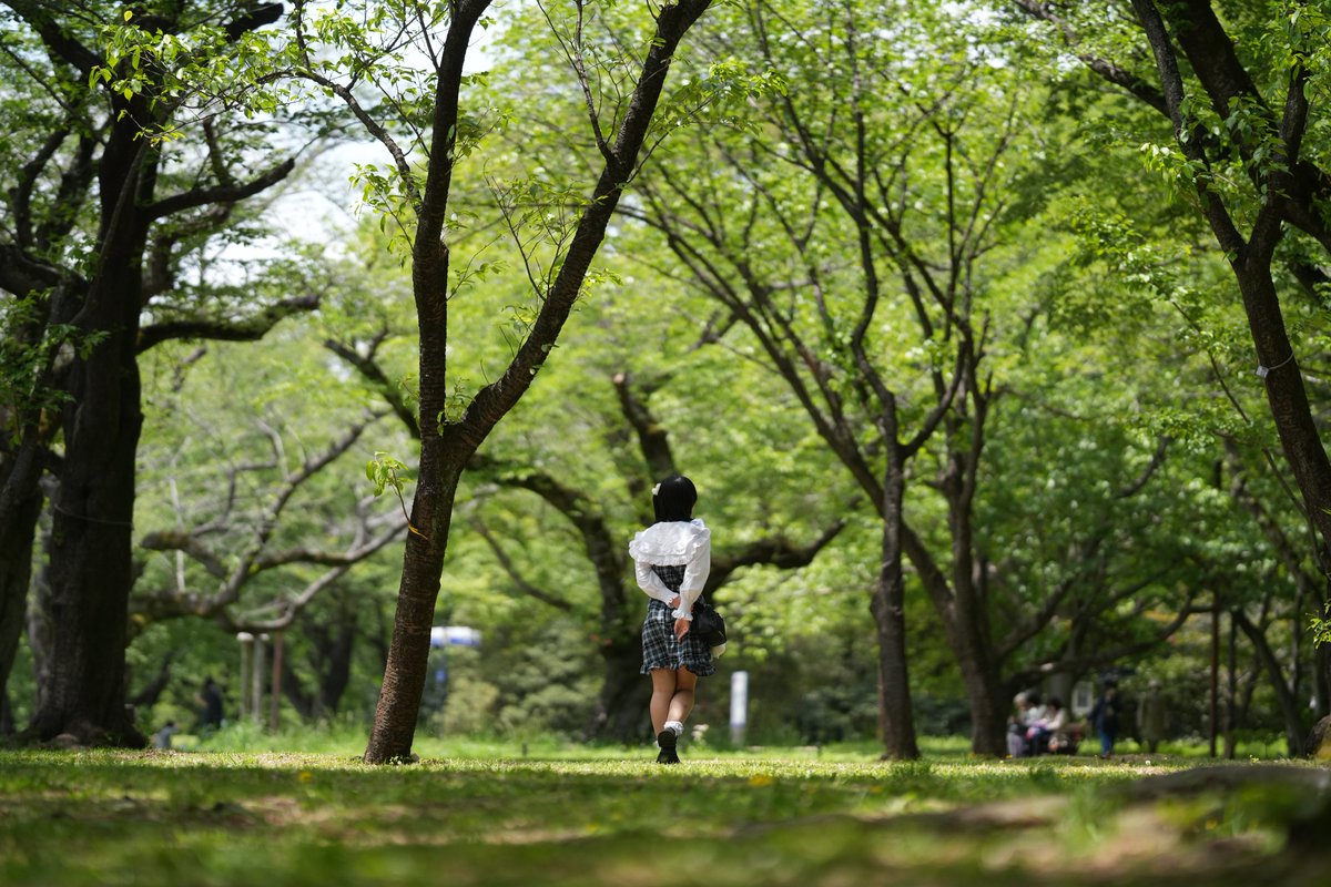 takanashimiu's tweet image. Portrait/ポートレート

昭和記念公園

📷´-@lakuyou_photo 様

 #ポートレート  #Portrait