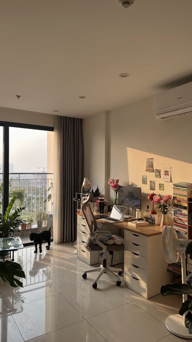 The only perk of a west facing house? That golden afternoon sun ✨