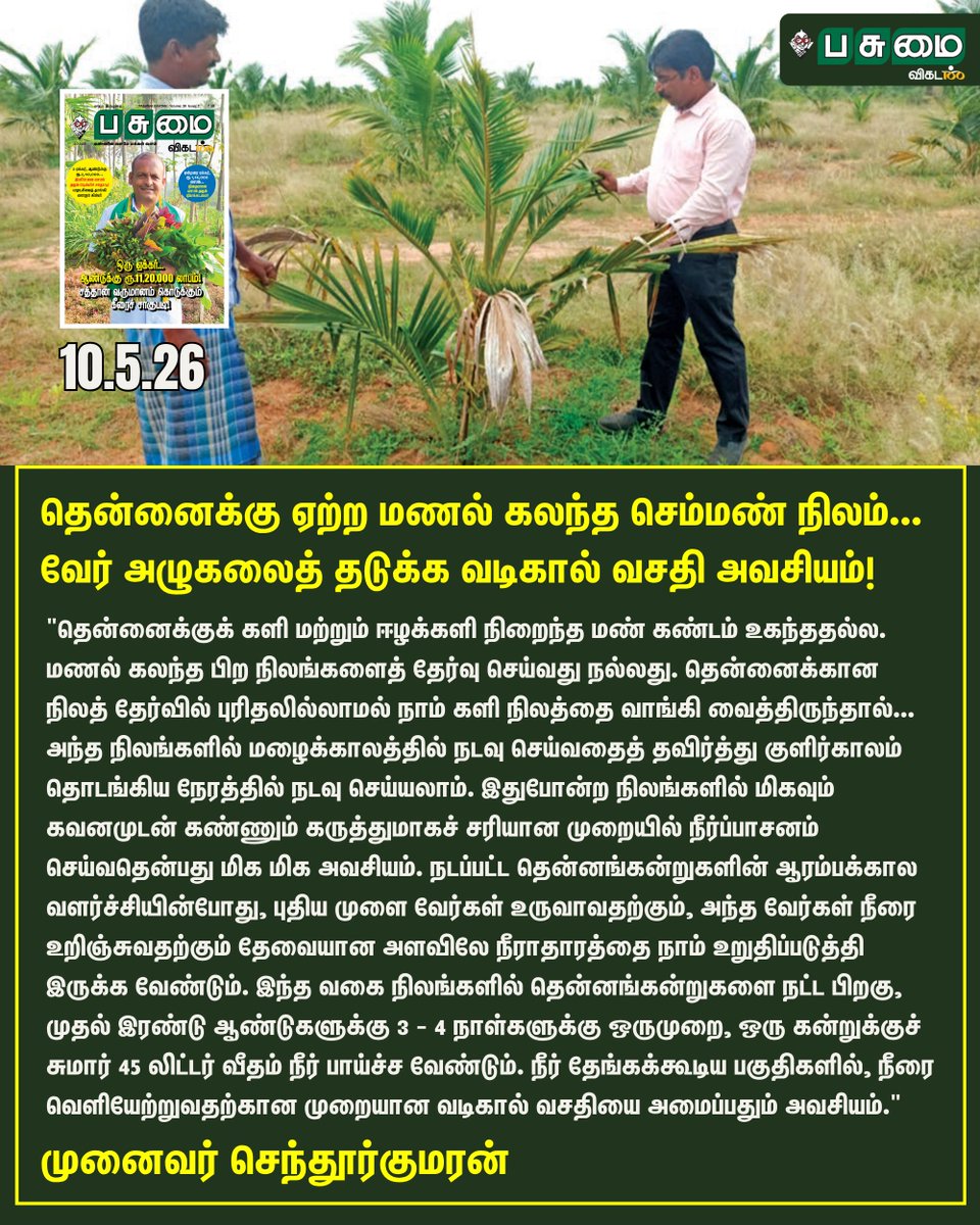 PasumaiVikatan's tweet image. Full Article Link - vikatan.com/agriculture/co…

தென்னைக்கு ஏற்ற மணல் கலந்த செம்மண் நிலம்... வேர் அழுகலைத் தடுக்க வடிகால் வசதி அவசியம்!

#PasumaiVikatan | #Magazine | #CoconutTree