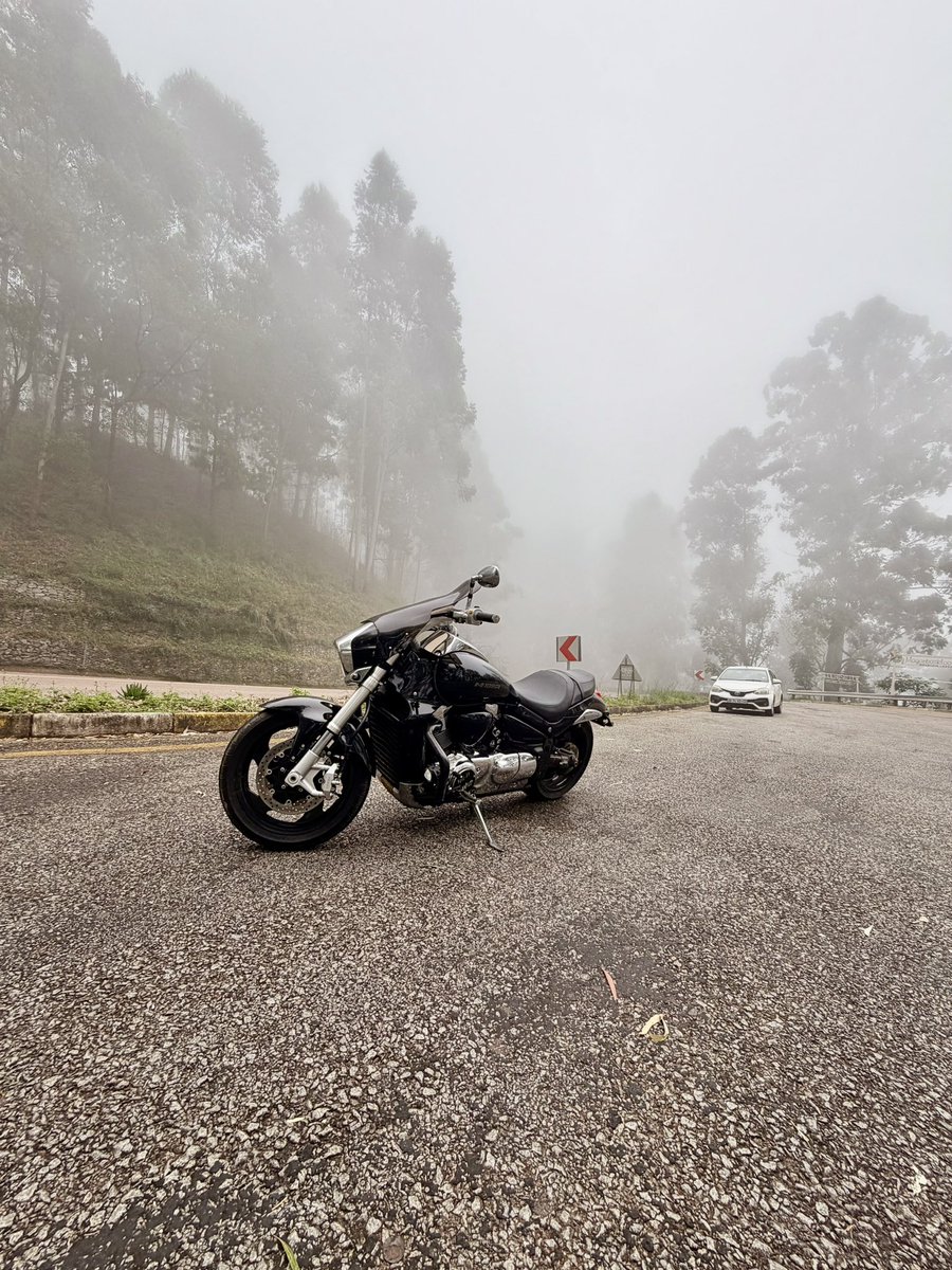 Chymamusique tweet media