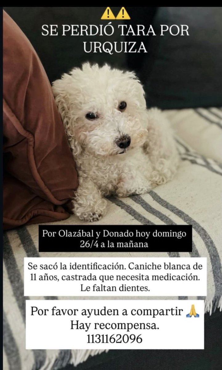 Andrea Julia Alvarez 🥁 tweet media