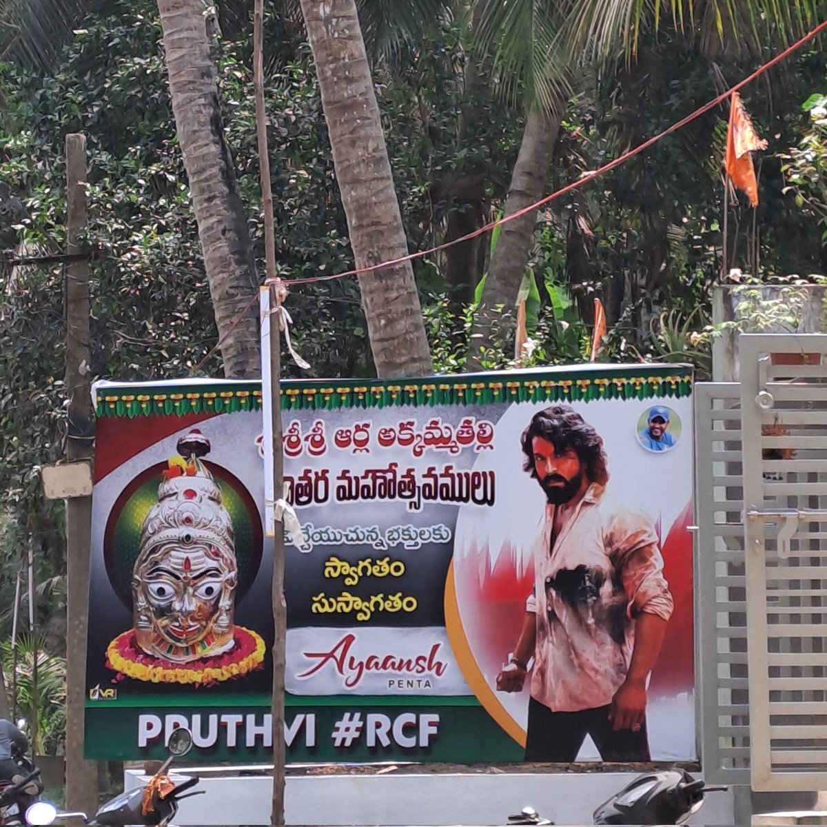 Cherry_NTRC 🦁 tweet media