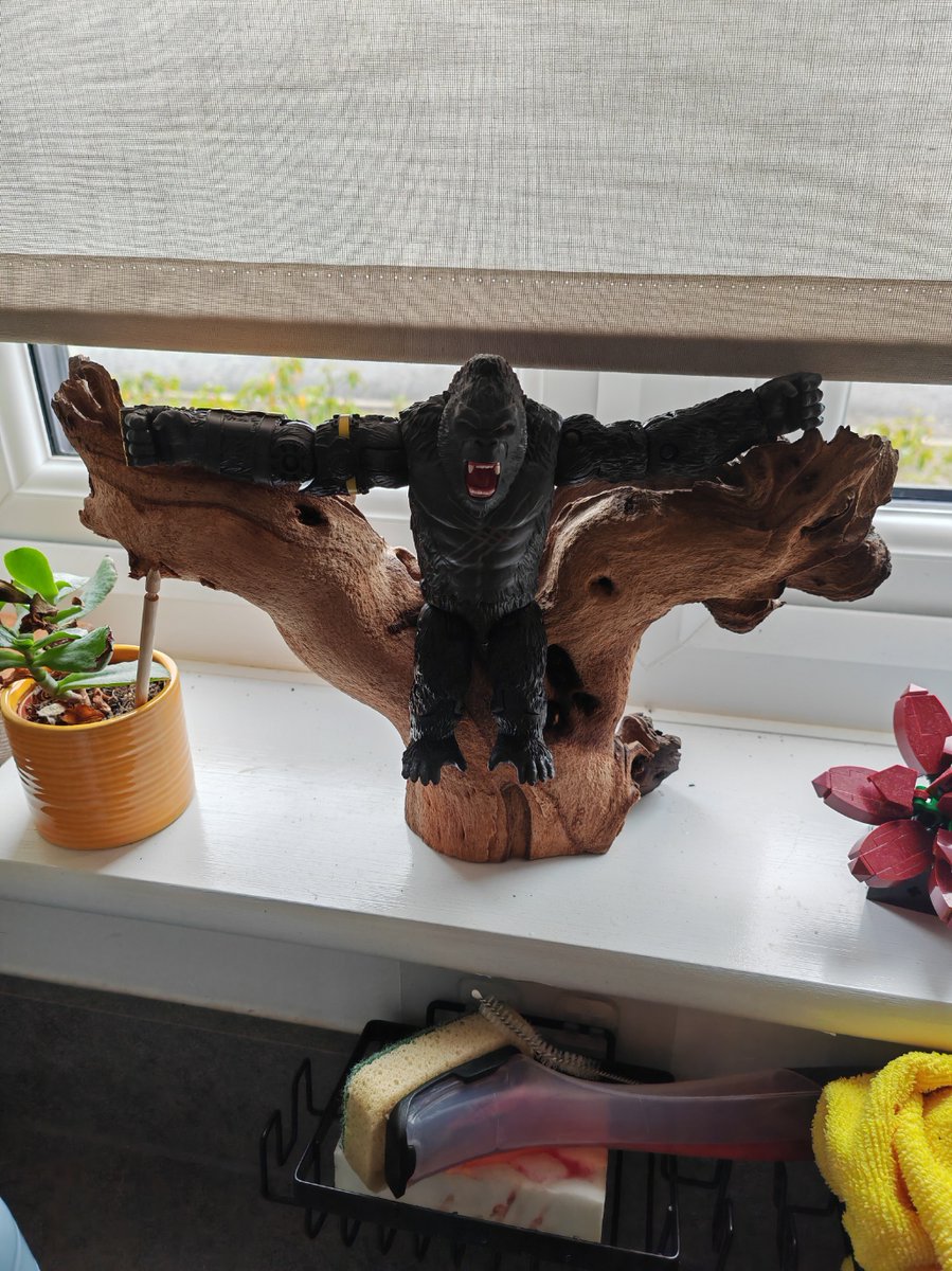 Bodie Satva 🏴󠁧󠁢󠁳󠁣󠁴󠁿 tweet media