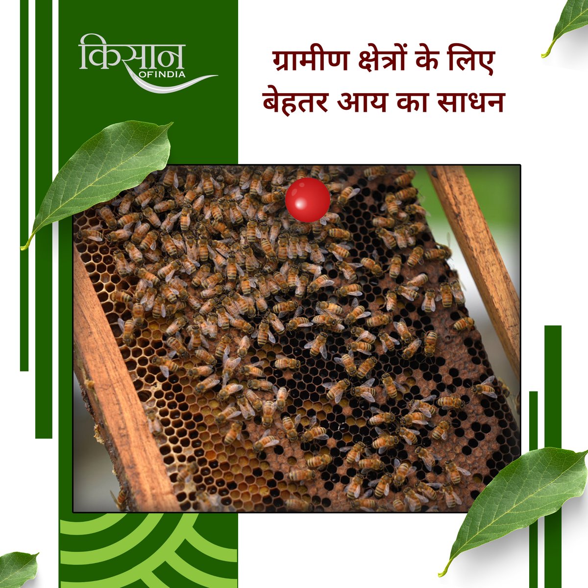 KisanofIndia's tweet image. मधुमक्खी पालन कम लागत में शुरू होने वाला लाभकारी व्यवसाय है, जो शहद उत्पादन के साथ रोज़गार और किसानों की आय बढ़ाने में मदद करता है।

#KisanOfIndia #Beekeeping #MadhumakhiPalan #HoneyFarming  #Apiculture #OrganicHoney #AgriBusiness