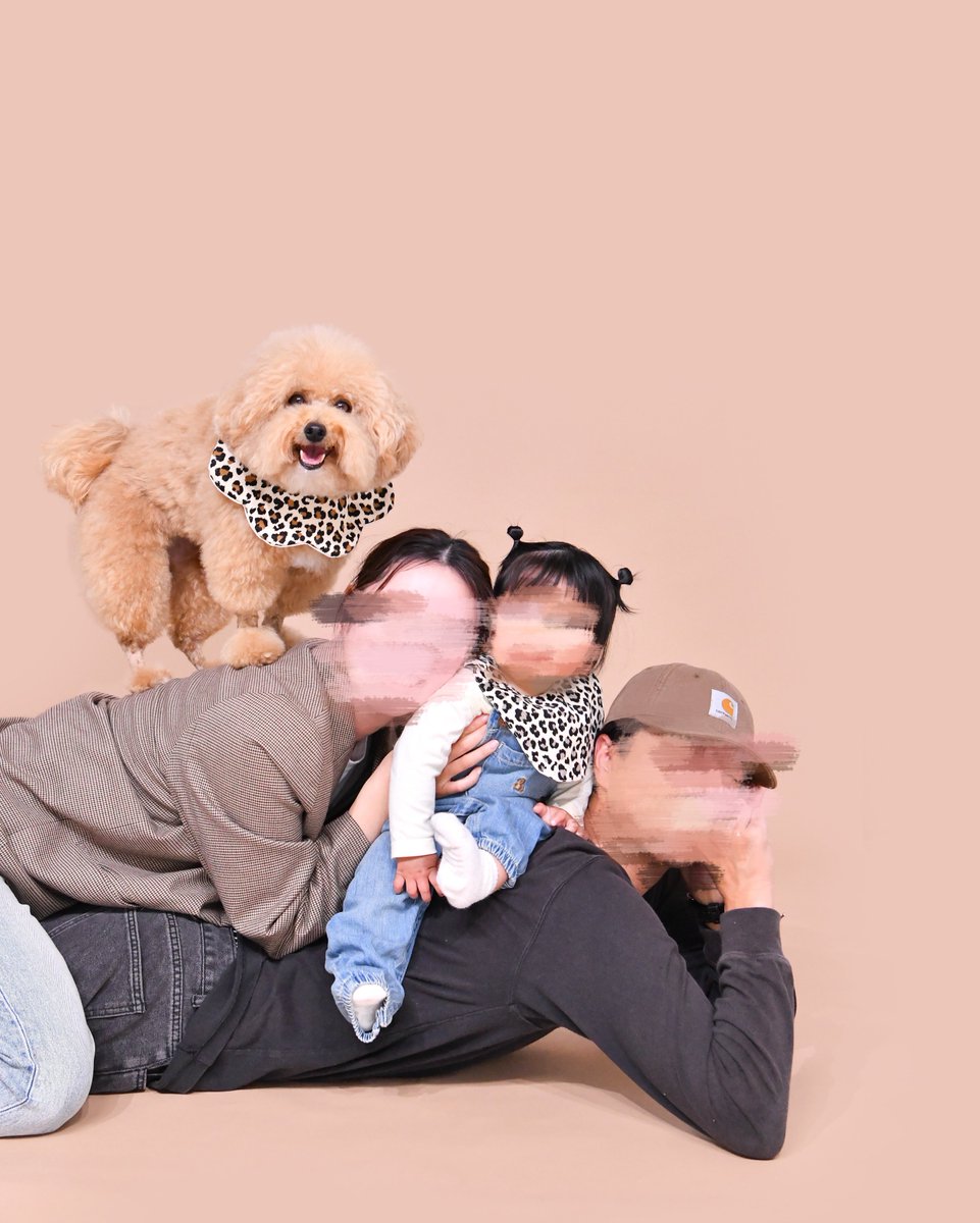 ポテチやで tweet media