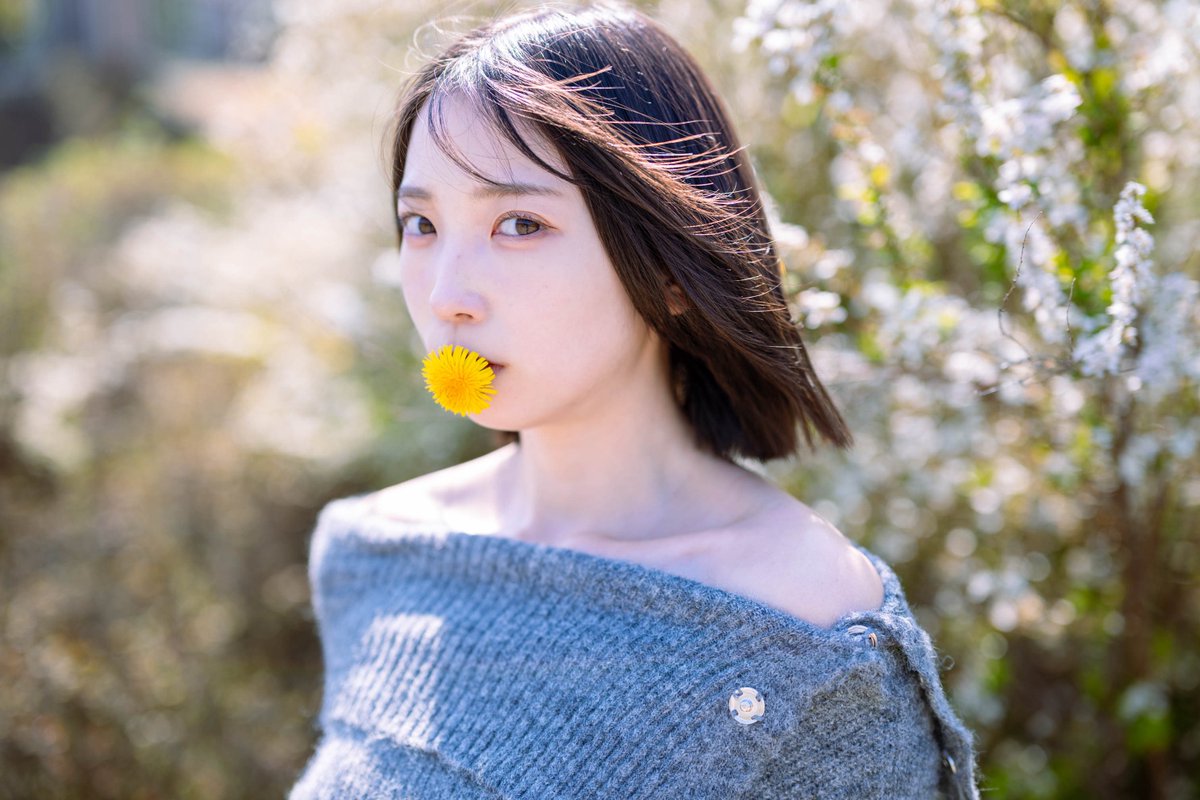 songsong2014's tweet image. Model:mou( @mou_nephoto )

〜 蒲公英 〜

#mou
