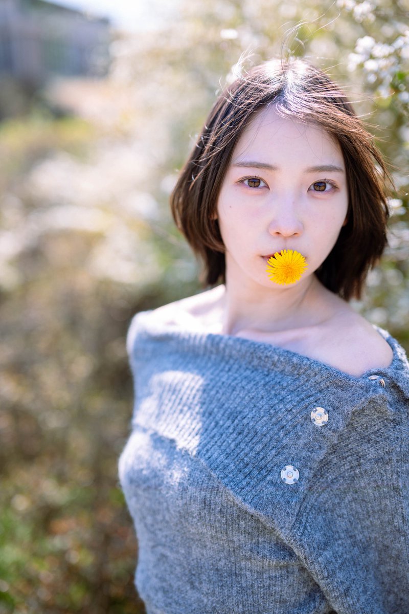 songsong2014's tweet image. Model:mou( @mou_nephoto )

〜 蒲公英 〜

#mou