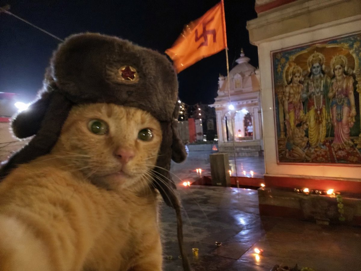 ज्ञ tweet media