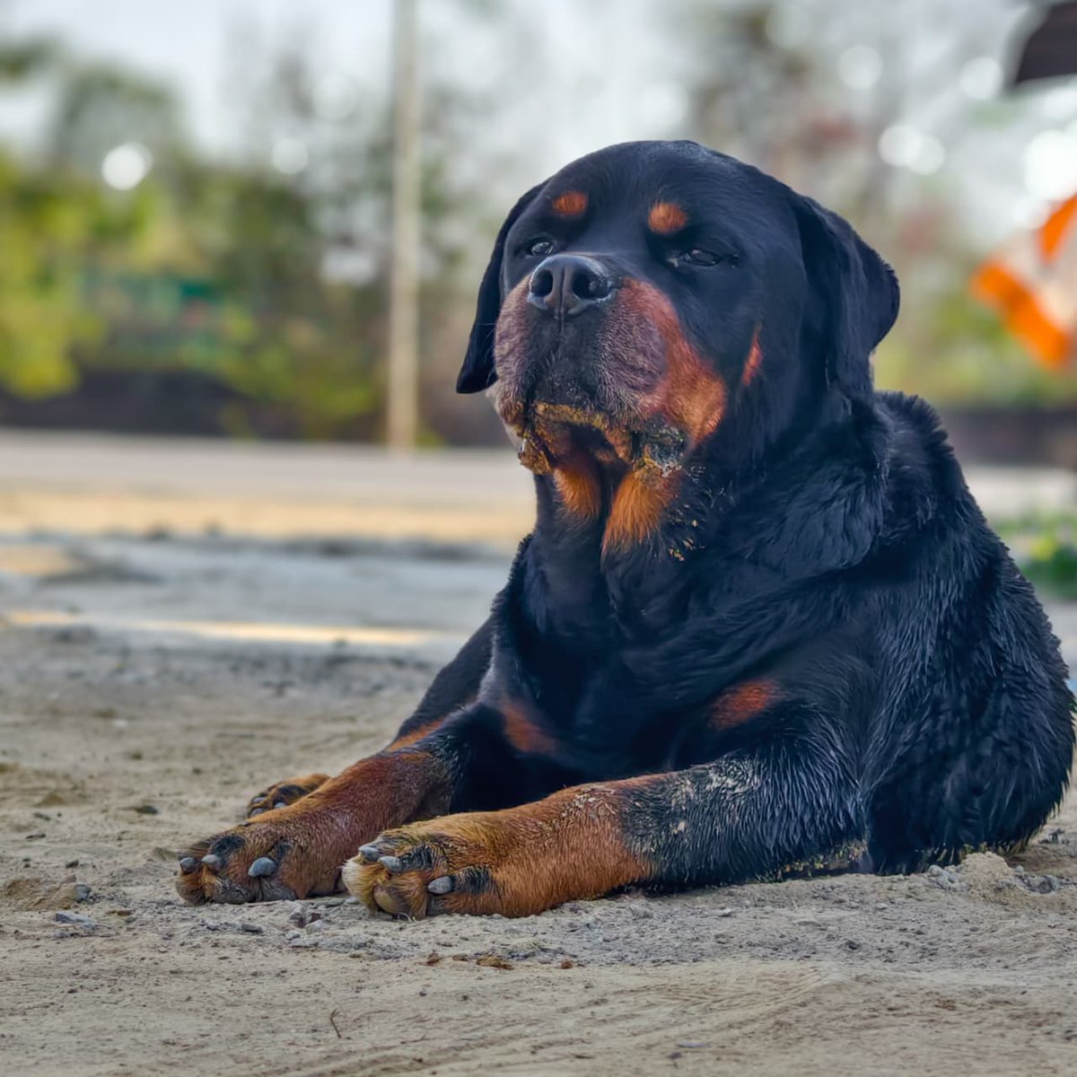 Mohit Mehta tweet media