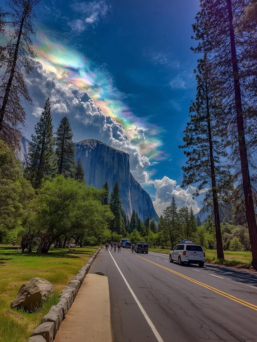 🌲Norway Pine 🇳🇴🐰 tweet media