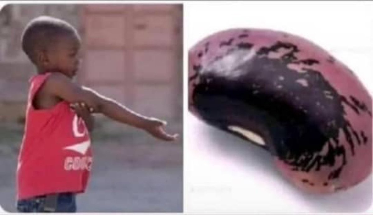 Anselm🇺🇬 tweet media