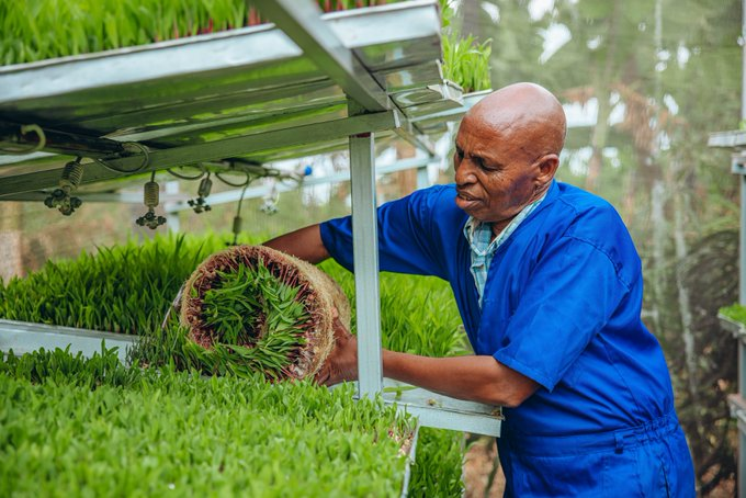 Mireille Kazungu tweet media