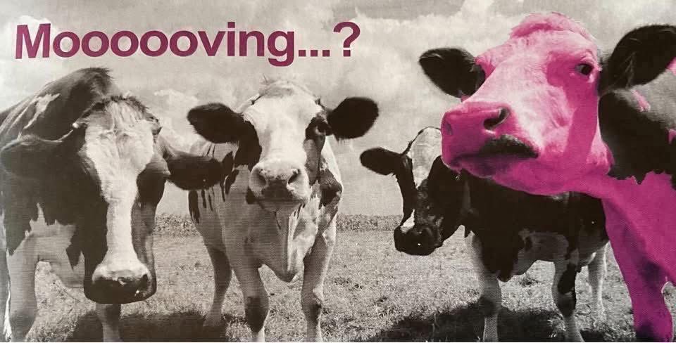 allaboutnewport's tweet image. Thinking of MOOOOOVING  house?  Buying, selling or renting? 

Call Barker Healey Property Limited on 01952 813625 or contact 👉 allaboutnewport.co.uk/newport-shrops…

Make sure your PROPERTY stands out from the crowd….

#movinghouse #buyinganewhome #allaboutnewport #property #estateagents