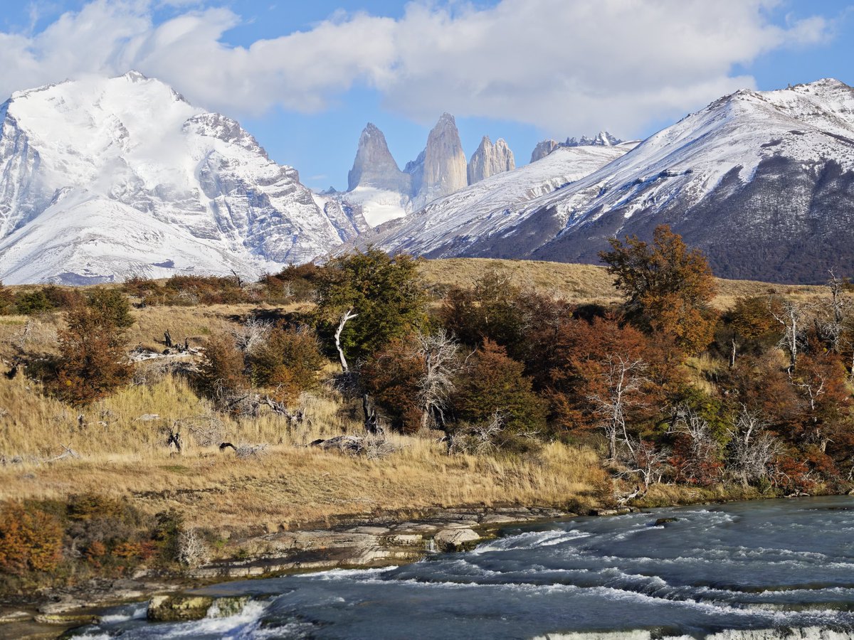 ポンズ tweet media