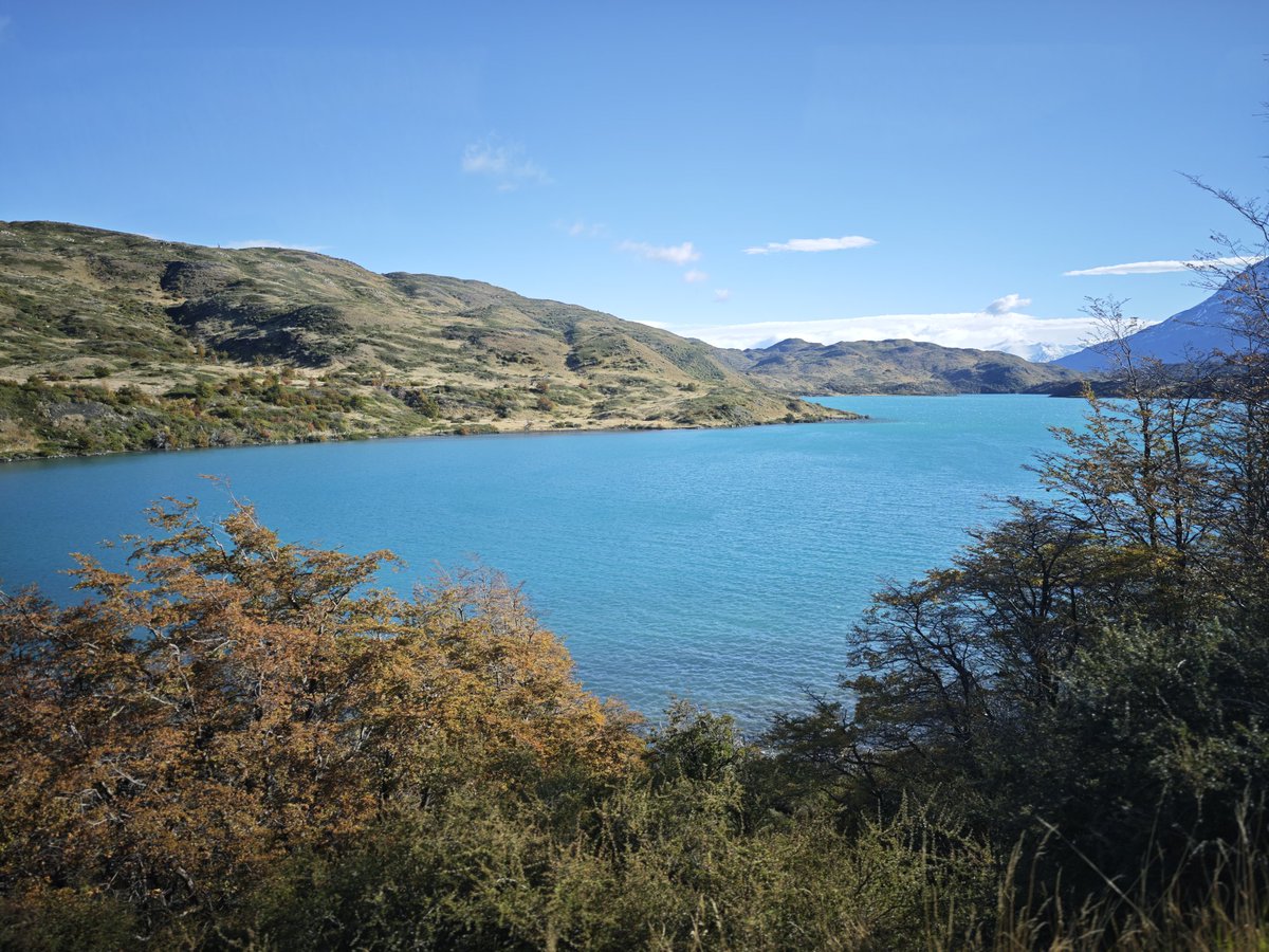 ポンズ tweet media