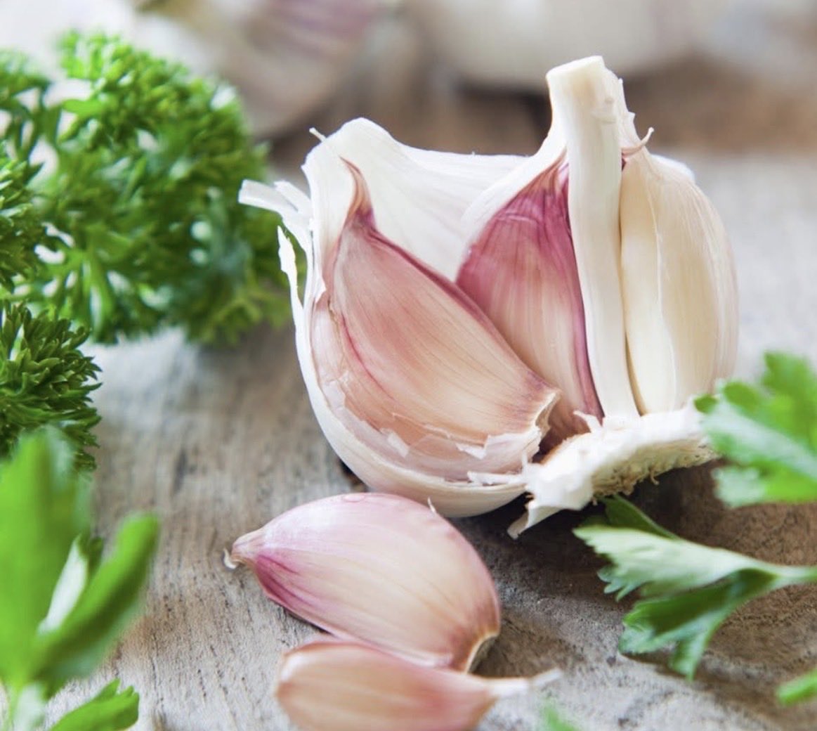 drdenwalker's tweet image. Garlic is high in vitamins C, B1 and B6, calcium, potassium, copper, manganese and selenium. Garlic is also high in beneficial sulfur compounds such as allicin.

It is one of the most efficient natural antibiotics against the wide spectrum of bacteria.
#health #garlic #immunity