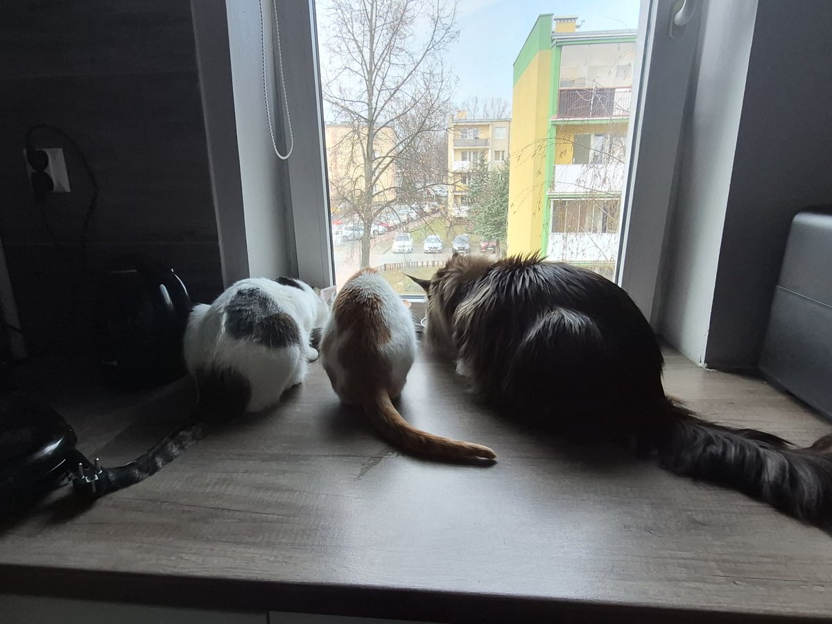 Kacper🐀 tweet media