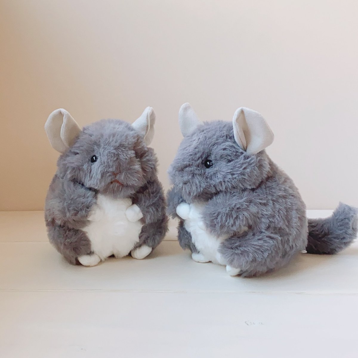 マルククラウン┊︎ MarkCrown tweet media