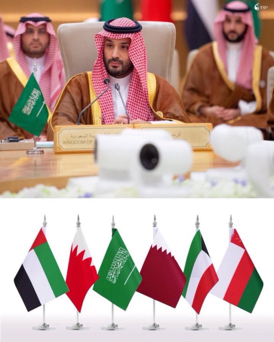 د. ماجد بن ثامر آل سعود tweet media