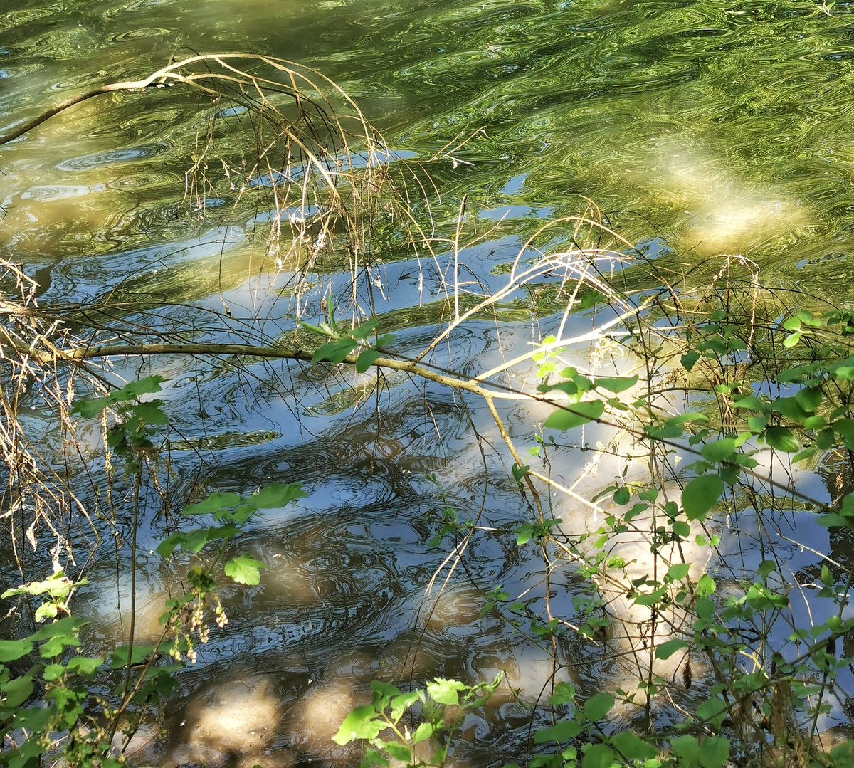 Paulette à bicyclette tweet media