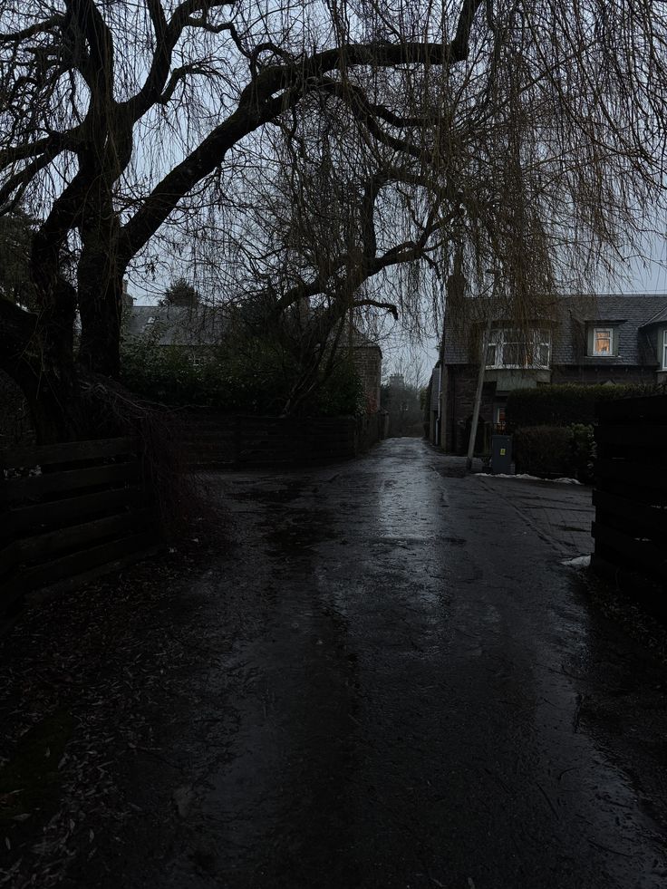 𝕰𝖑𝖊𝖒𝖒𝖎𝖗𝖊 tweet media