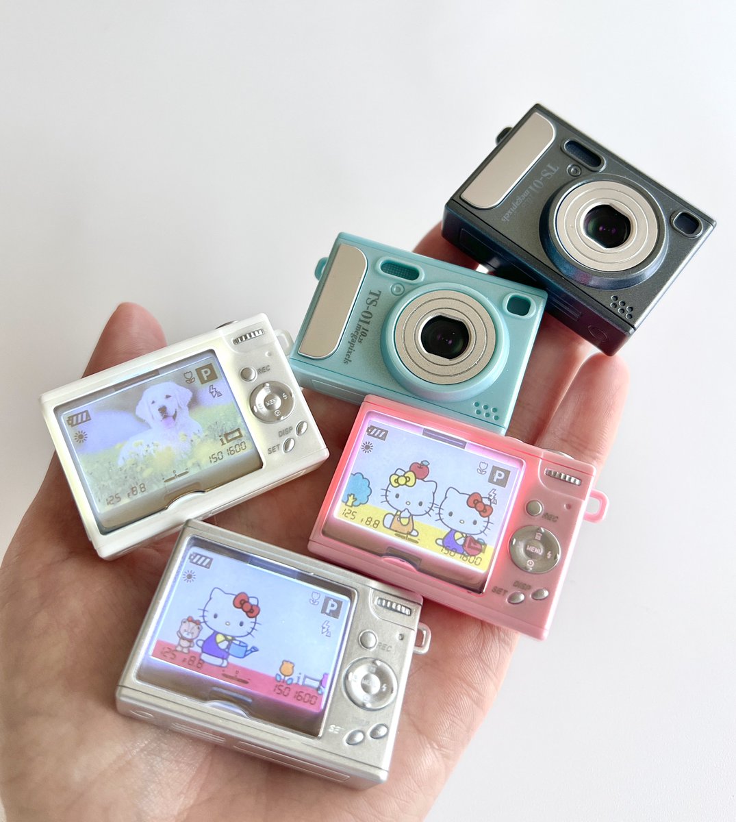 ぱんくま tweet media