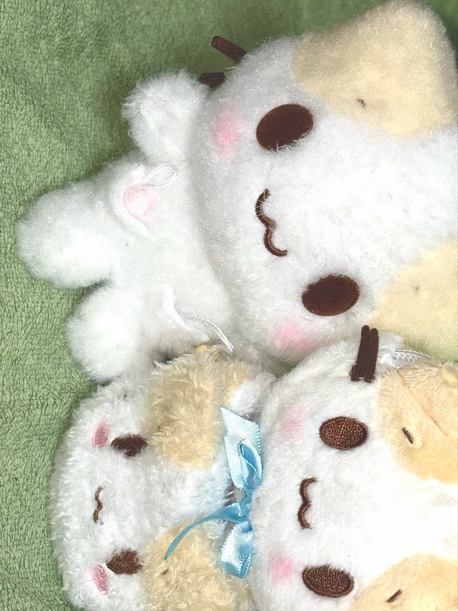 말차냥들어 tweet media