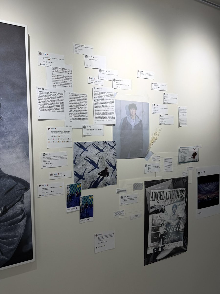 볼빵빵 tweet media