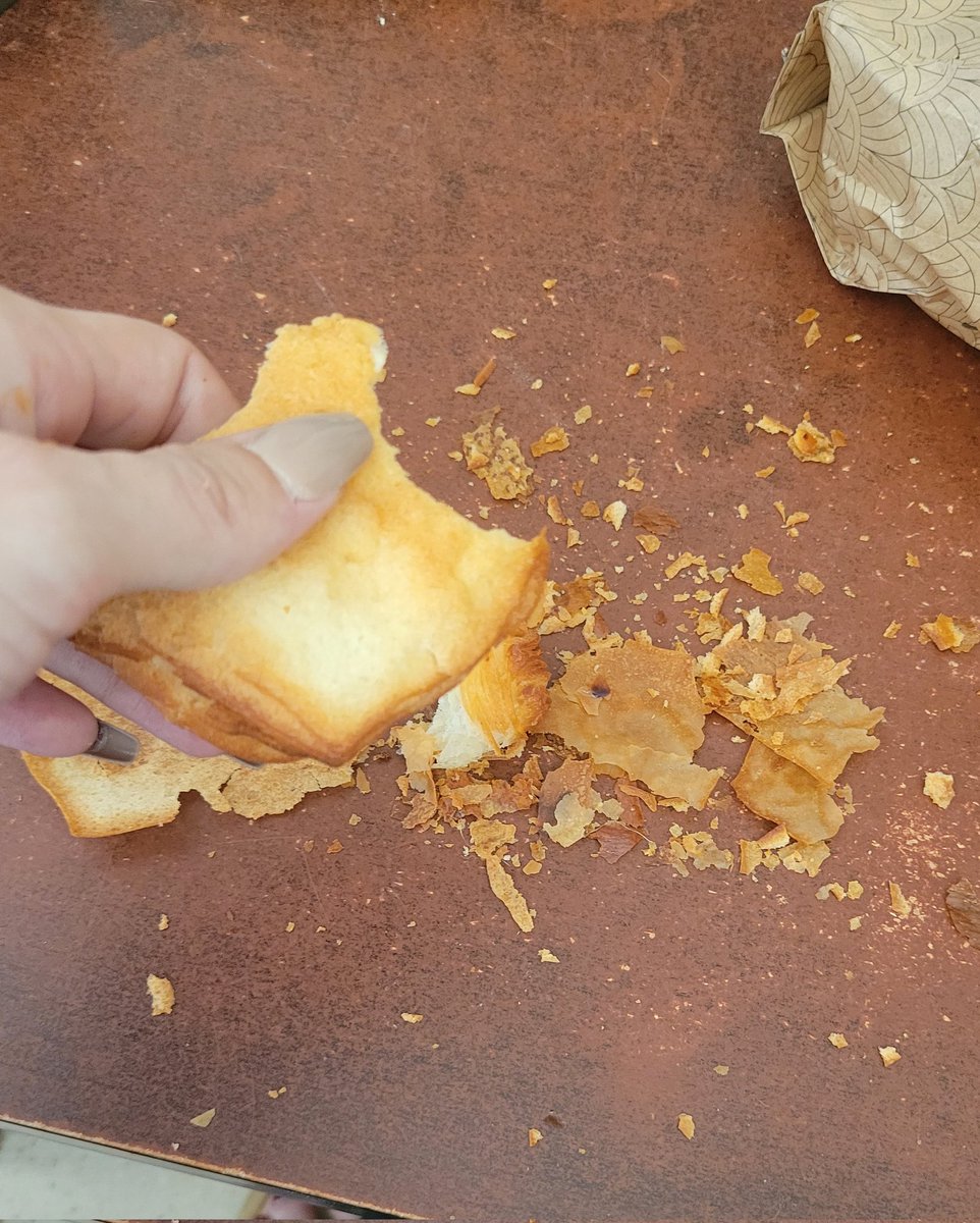 Reine Rose 🌹 tweet media