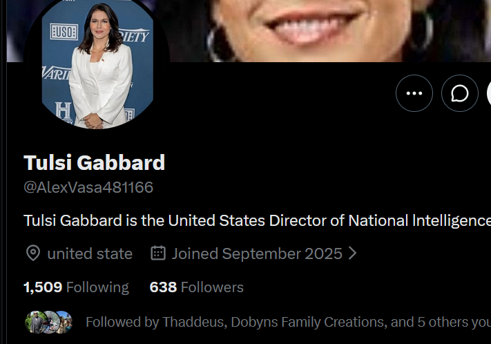 ImWickedJess's tweet image. Friends, please vet the accounts you follow back. 
Tulsi Gabbard wouldn't have 638 followers, and she most certainly isn't in Nigeria.