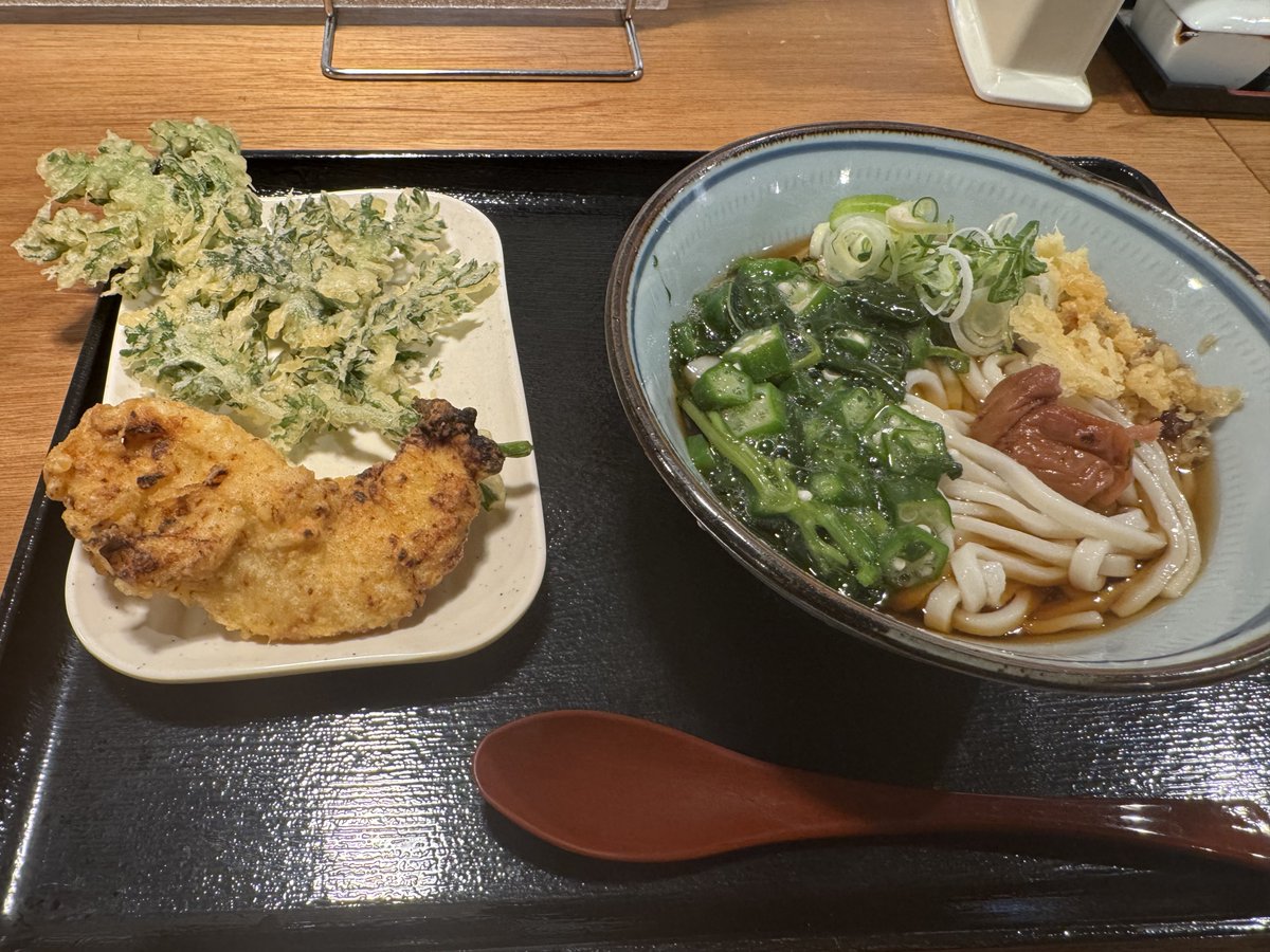 愚かなブタ野郎まがつひ tweet media