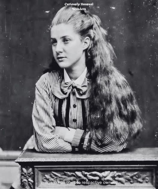 The Husky tweet media