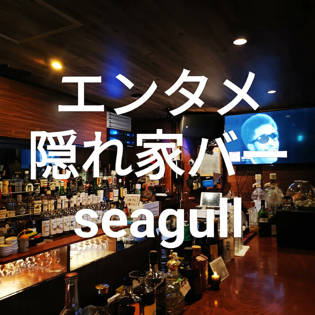 itonttu's tweet image. #seagull
