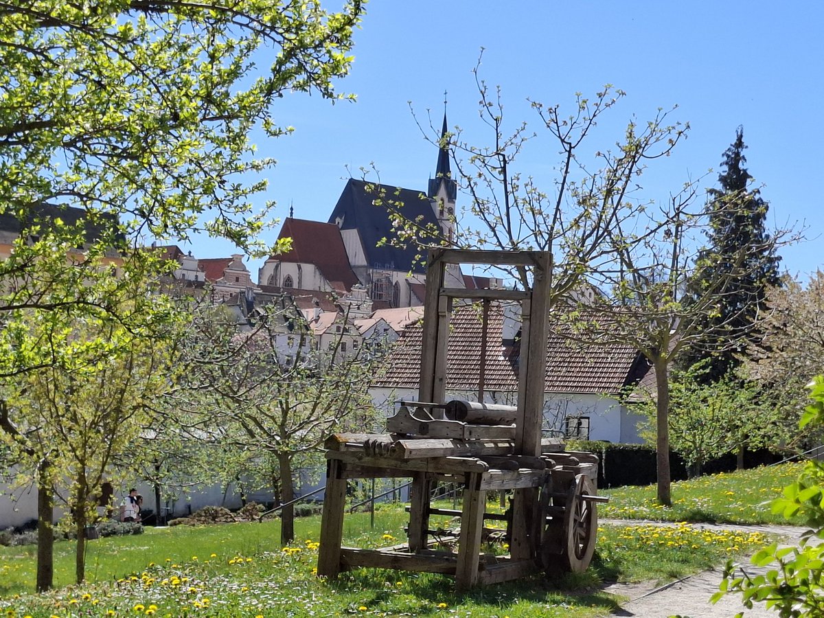 dagmarkuntscher ✨️ tweet media