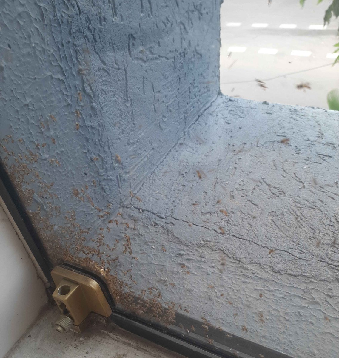 SexIsAMyth21 tweet media