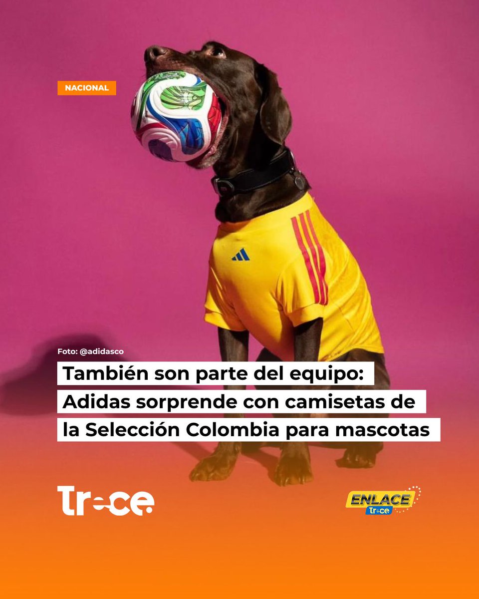 CanalTreceCO's tweet image. Las camisetas estarán disponibles para la venta desde el 2 de mayo en adidas.com.co, bajo el lema “Uniforme para todo el equipo”.
#CanalTrece #Noticias #Mascotas